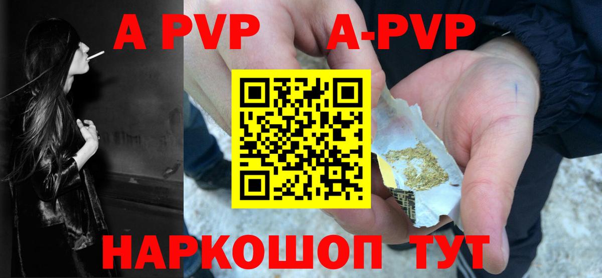 Alfa_PVP СК КРИС Курчалой