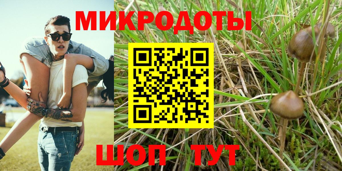 Курчалой  наркошоп  Вход с VPN  Галлюциногенные грибы Magic Shrooms 